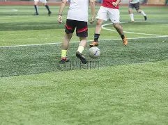 火箭主场力,克森林狼,爱德华兹砍,博天堂,彩票平台,在线投注,彩票预测,彩票服务