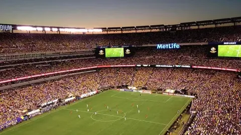 鲁内揭秘：费德勒成我最敬仰球星，引发热议！