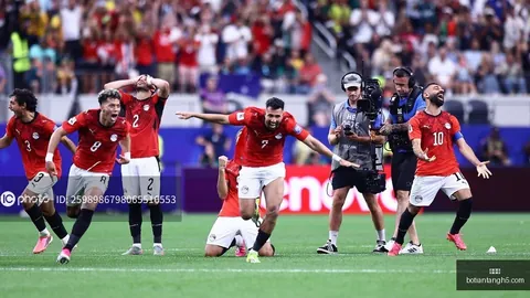 博天堂 ，彩票平台，060809 6
